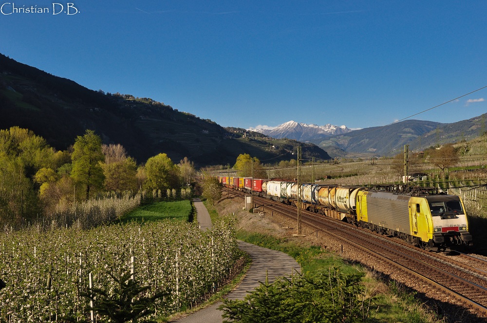 Treno merci di TX Logistik Italia da Wanne Eickel a Verona Quadrante Europa in transito nei pressi di Albes (BZ).