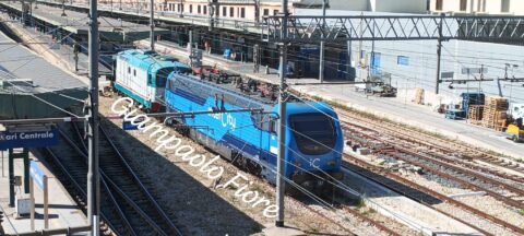 E402B.134 + D445.1021 – Bari Centrale – 14 Ottobre 2026 di Giampaolo Fiore