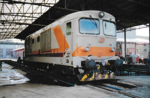 D.445 1045 – DL Treviso – 20 Aprile 1996 di Massimo Tieso